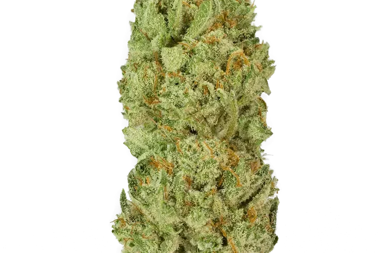 Cherry runtz strain