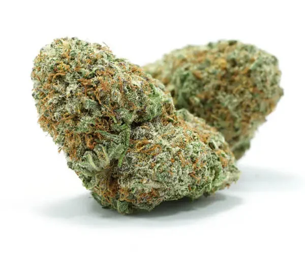 Kiwi Lime Weed