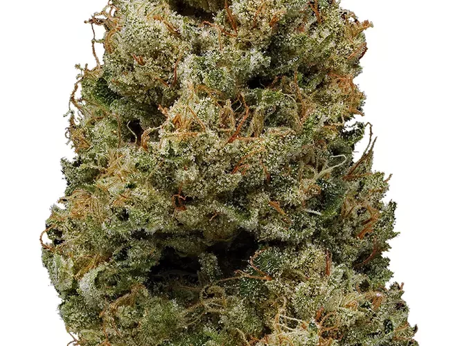 hella jelly strain