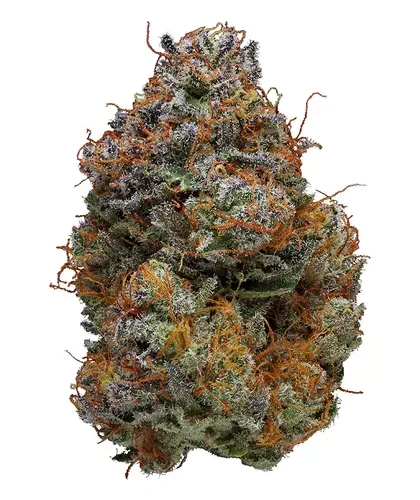 banana daddy strain