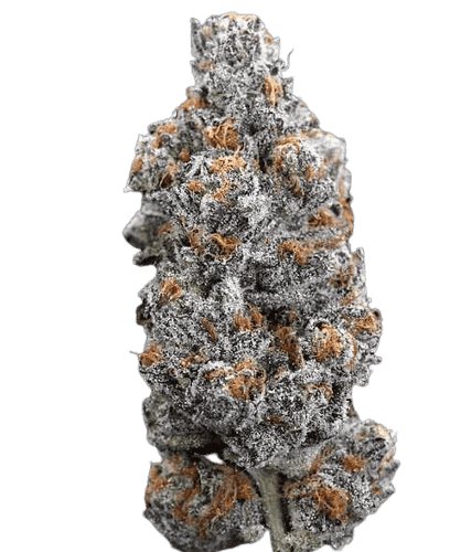 Fatso Strain