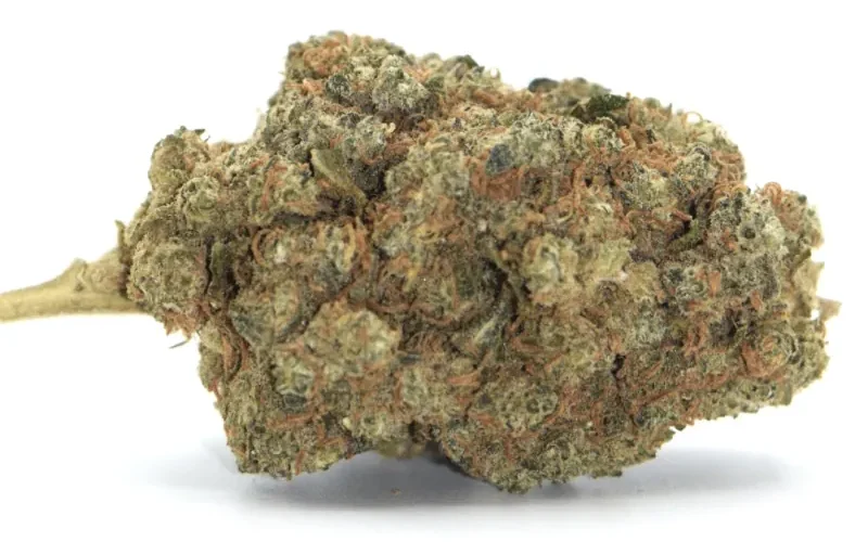 carbon fiber strain