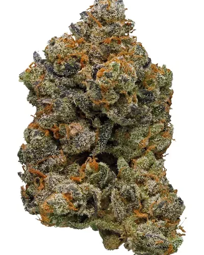 duct tape strain