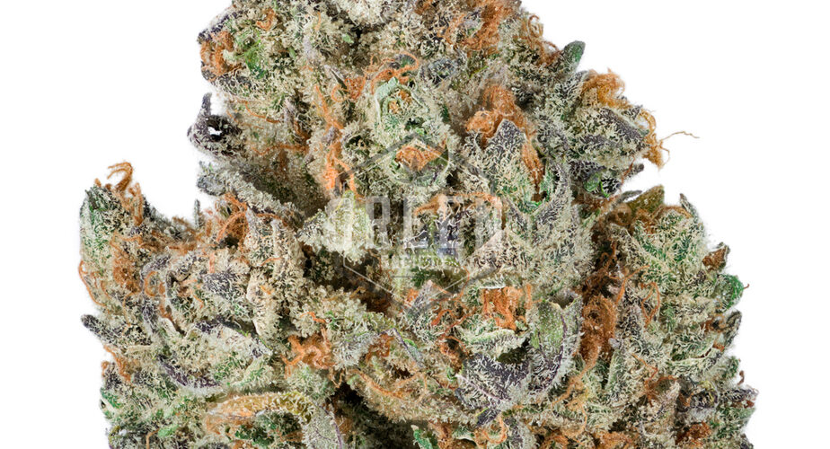 cadillac rainbow strain