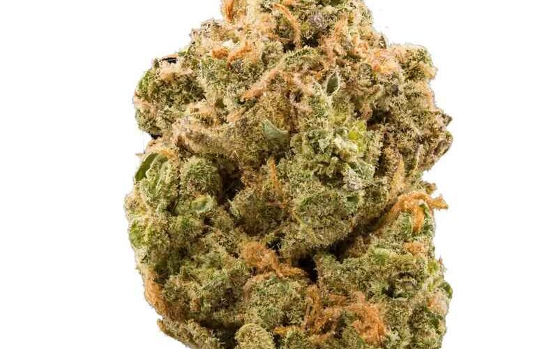 Banana Cream