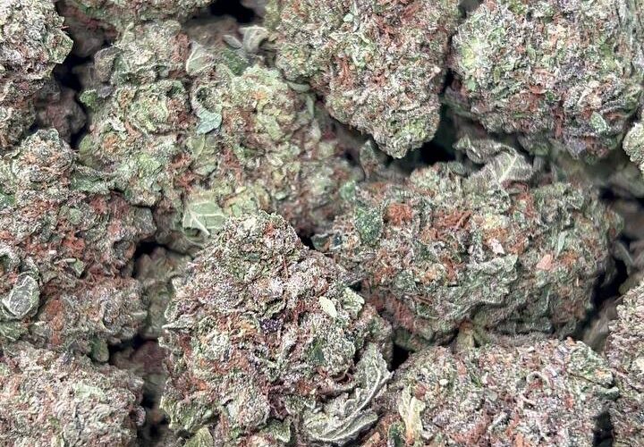 creamsicle strain