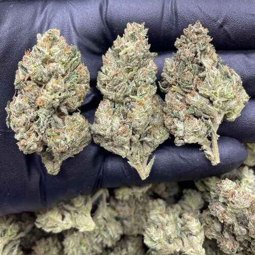 frosted flakes strain