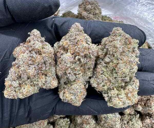 trufflez strain
