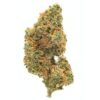 Buy Gorilla Glue Auto Online in Germany