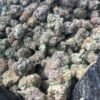 LA Confidential Strain