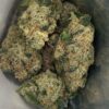 Zerbert Backpack Boyz 3.5G